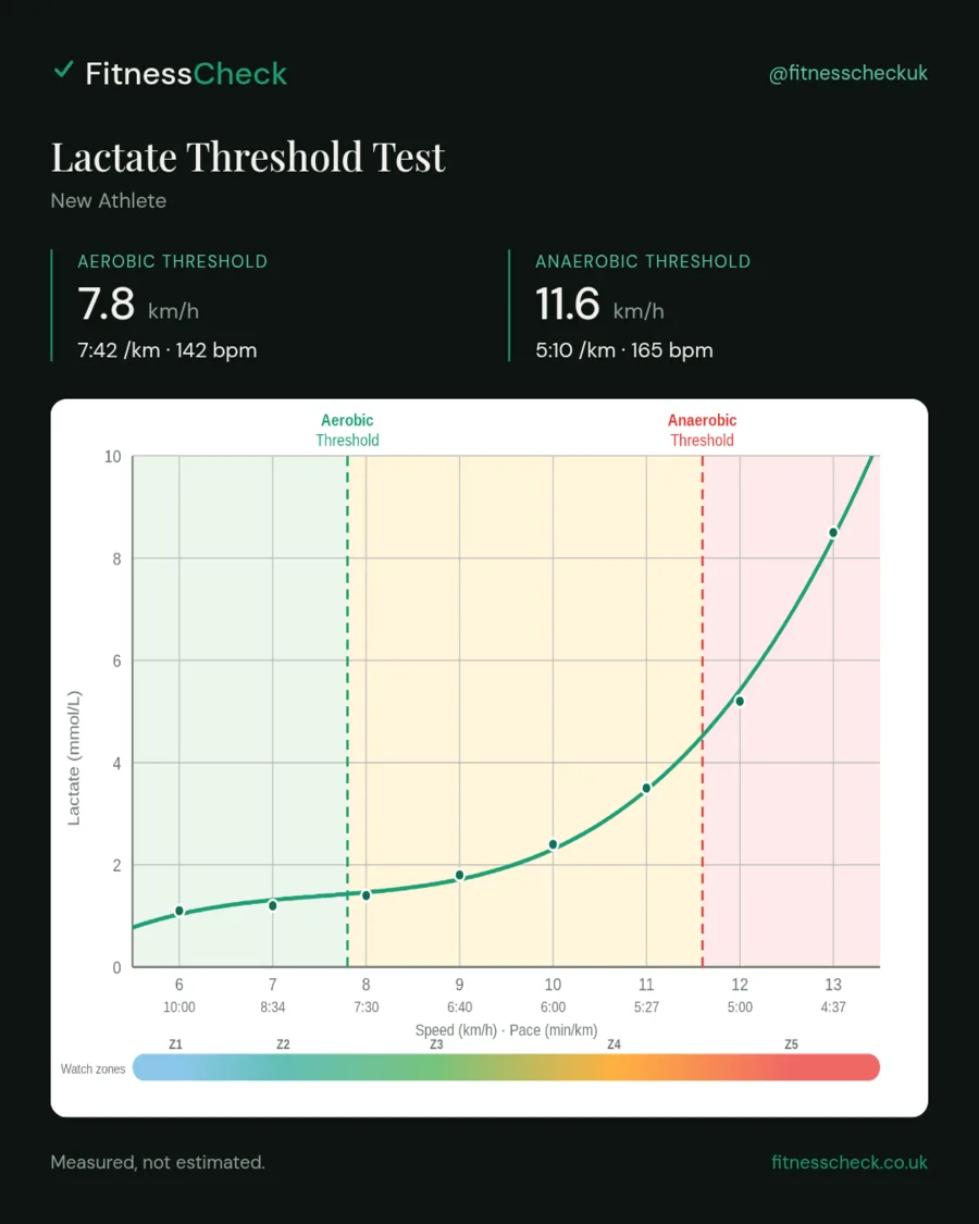 Lactate profile of a newer recreational Hyrox athlete with a roughly 90 minute finish
